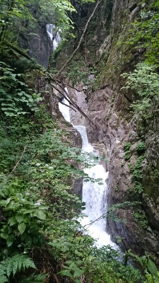 b0148050_8372025.jpg