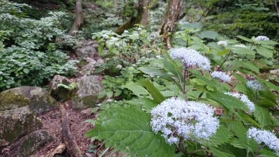 b0148050_8413629.jpg