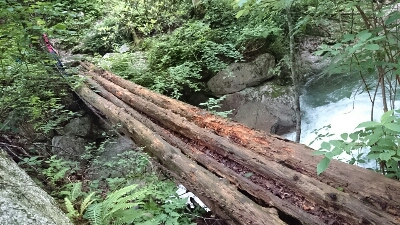b0148050_8421227.jpg