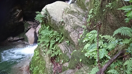 b0148050_8423613.jpg