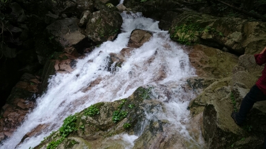 b0148050_8425472.jpg