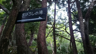 b0148050_8432696.jpg