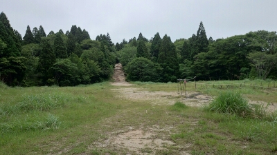 b0148050_8441279.jpg