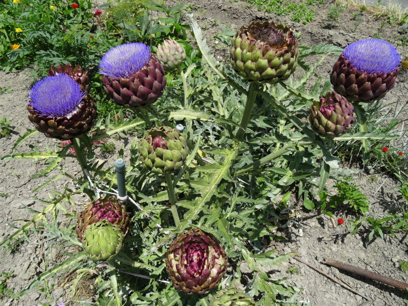 c0108460_21514888.jpg