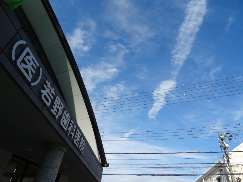 c0108460_21530286.jpg