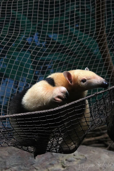 のいち動物公園にて撮影
