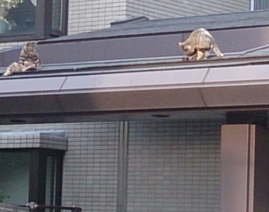 c0268274_00314115.jpg
