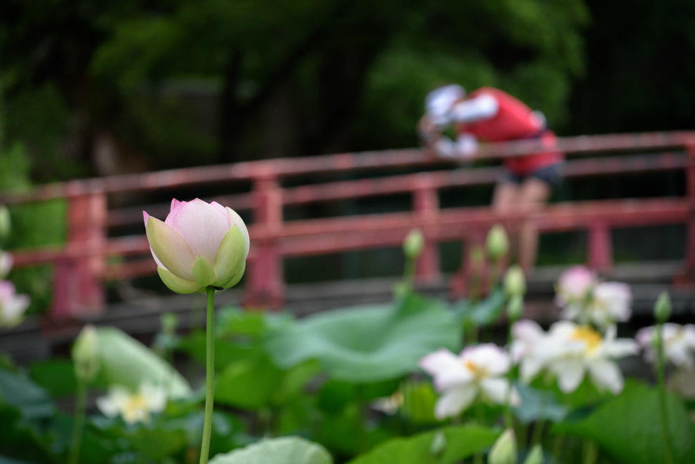 a0301676_07353241.jpg