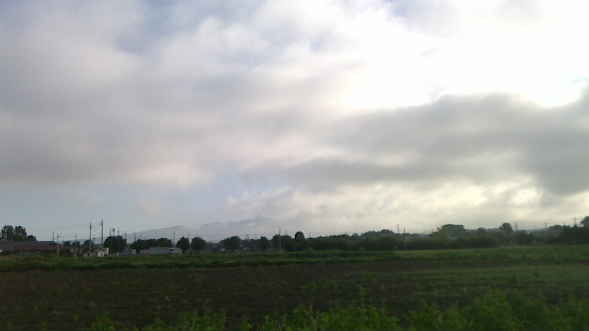 f0131183_1743330.jpg