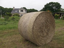 d0017084_927511.jpg