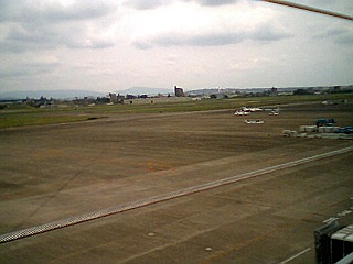 d0007286_17368.jpg