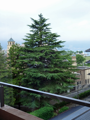 b0019591_974375.jpg