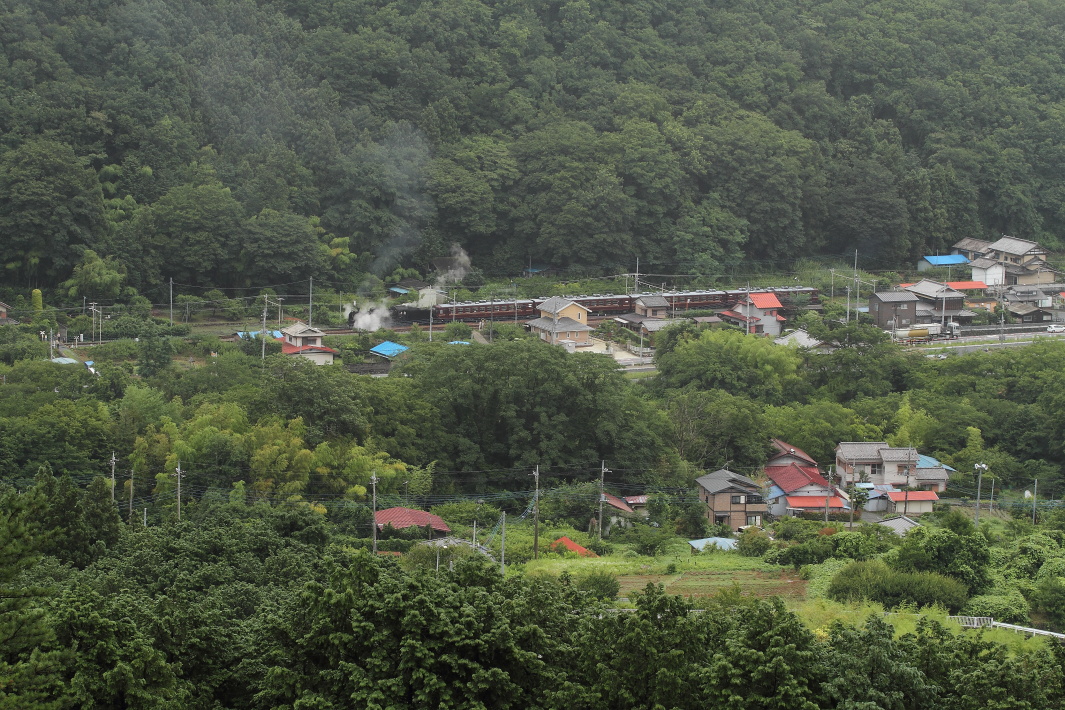 b0190710_239697.jpg