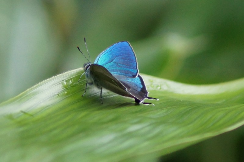 c0042418_725516.jpg