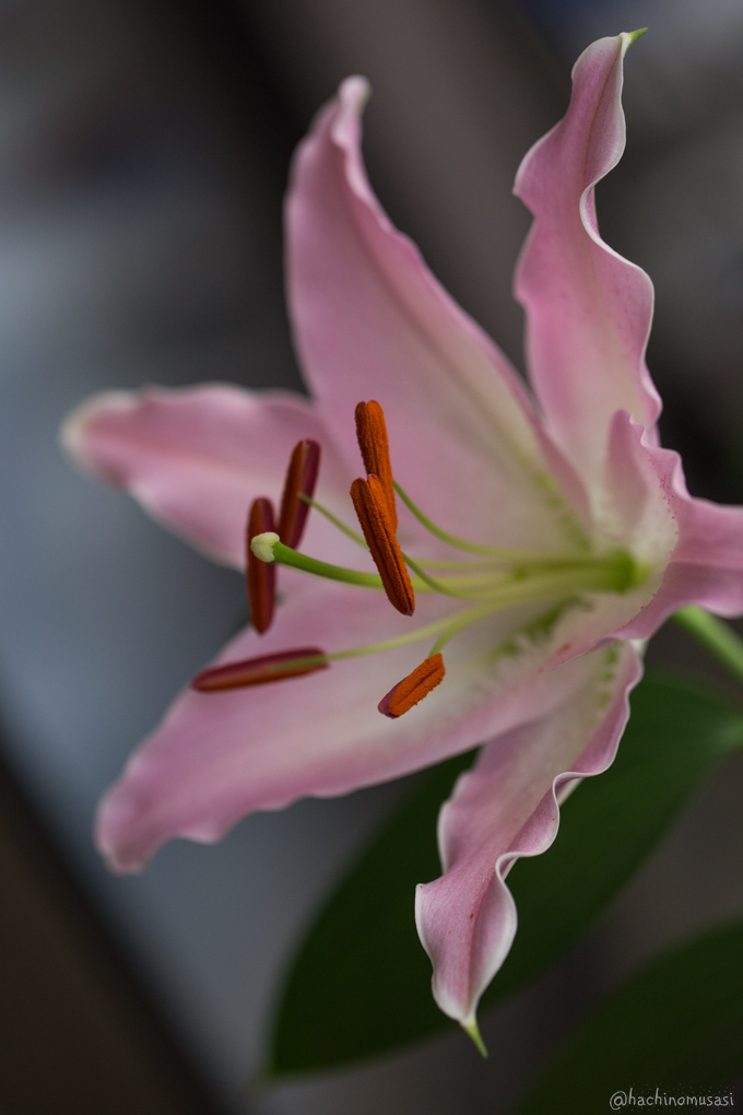 f0249918_1411475.jpg