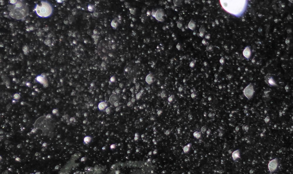 c0331825_11093586.jpg