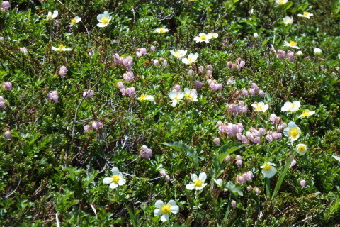 f0118332_20001447.jpg