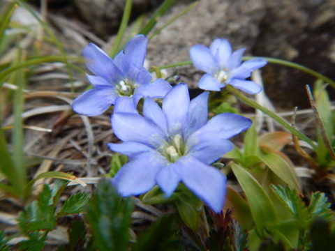 f0118332_20022826.jpg
