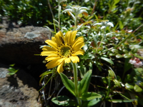 f0118332_20025632.jpg