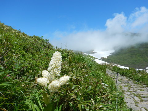 f0118332_20041693.jpg