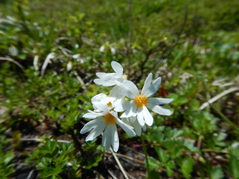 f0118332_20063914.jpg