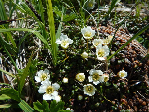 f0118332_20065395.jpg