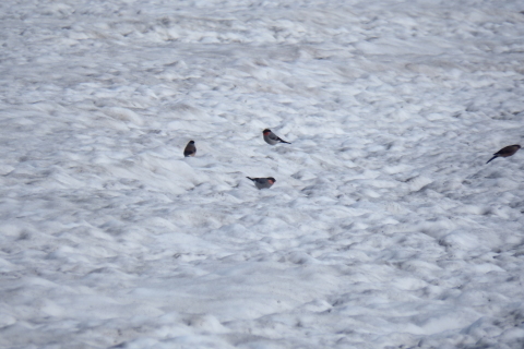 f0118332_20083105.jpg