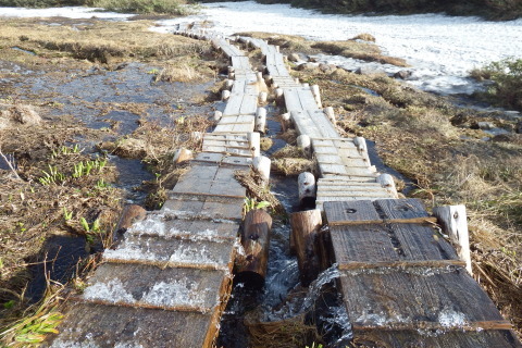 f0118332_20092950.jpg