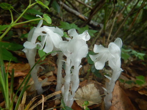 f0118332_20105077.jpg