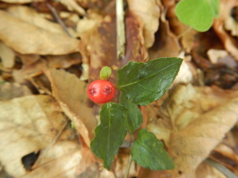f0118332_20105984.jpg