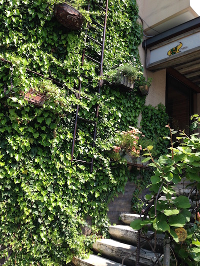c0227245_0113878.jpg