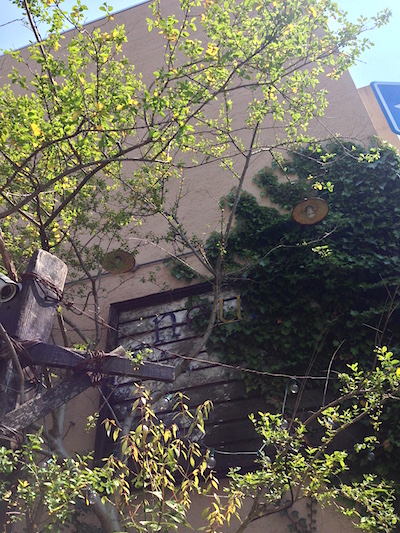 c0227245_013389.jpg