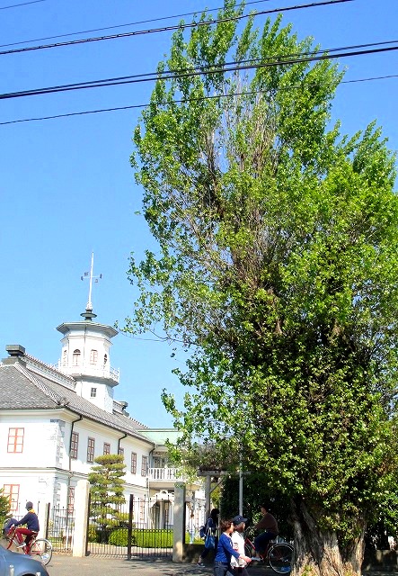 c0119160_22423269.jpg