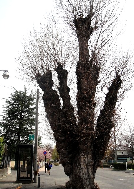 c0119160_2244928.jpg