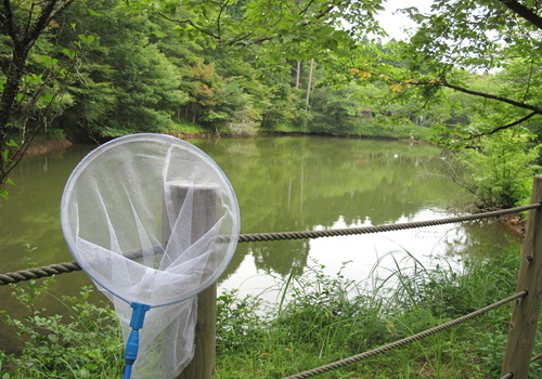 e0201060_16445437.jpg