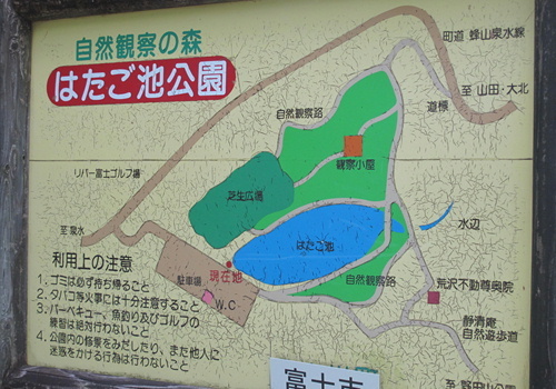 e0201060_16451333.jpg