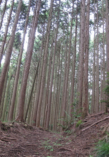 e0201060_16472036.jpg