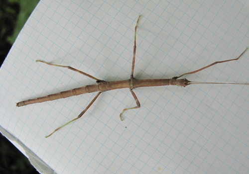 e0201060_16503272.jpg