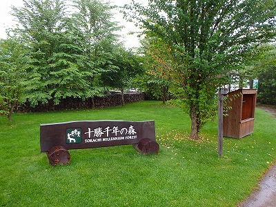 b0171771_23253449.jpg