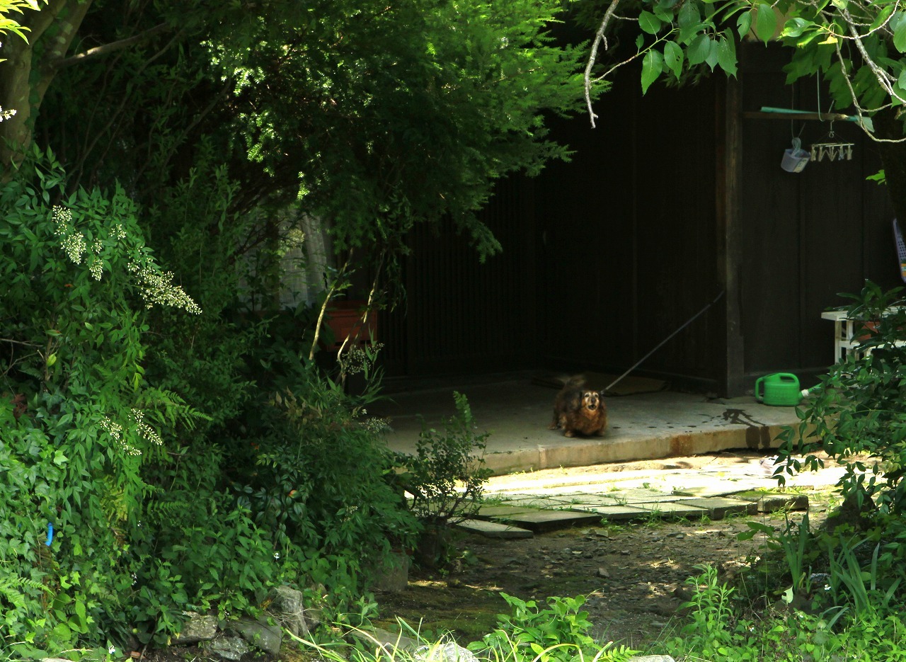 c0362972_16331217.jpg