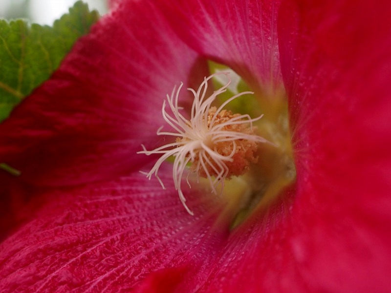 c0183777_6423987.jpg