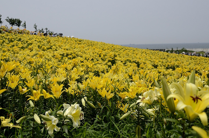 f0108478_2032170.jpg