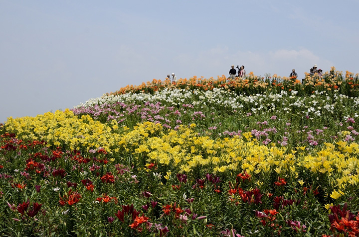 f0108478_2094282.jpg