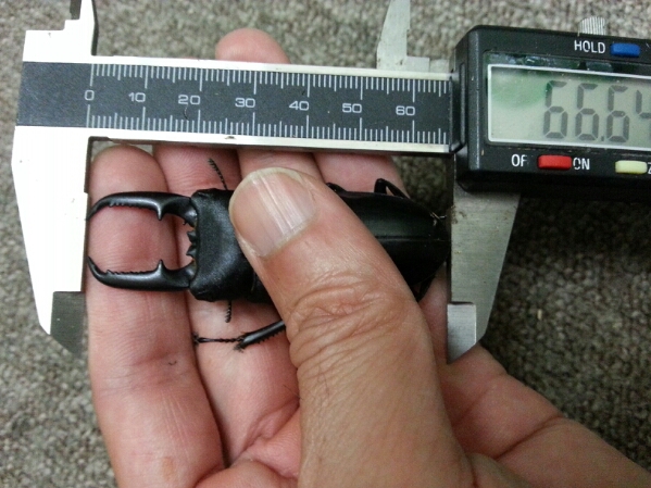 f0183484_50850.jpg