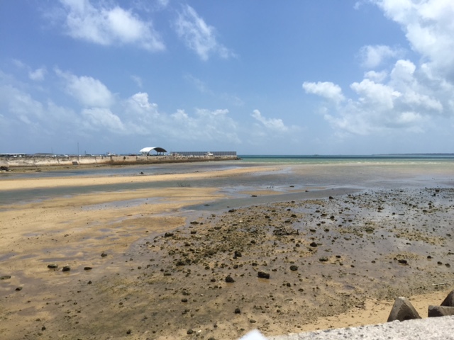 c0064389_23563997.jpg