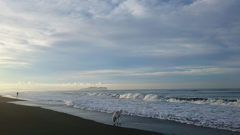 c0337990_20231159.jpg