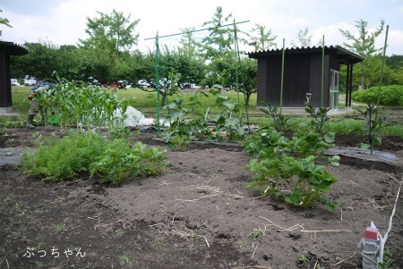 f0353990_13070247.jpg
