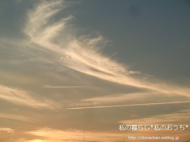 b0232891_939198.jpg