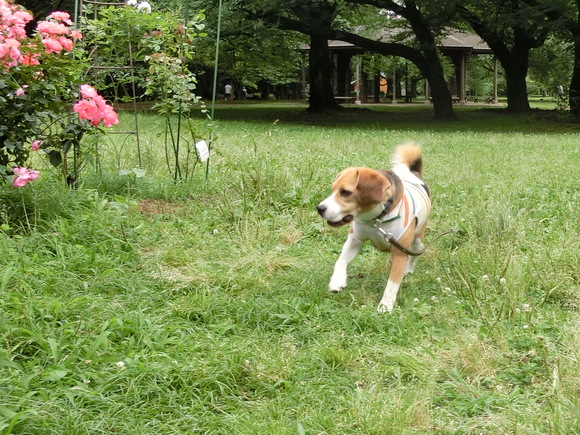 a0319693_21172885.jpg