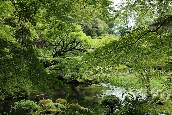 e0209997_2245511.jpg